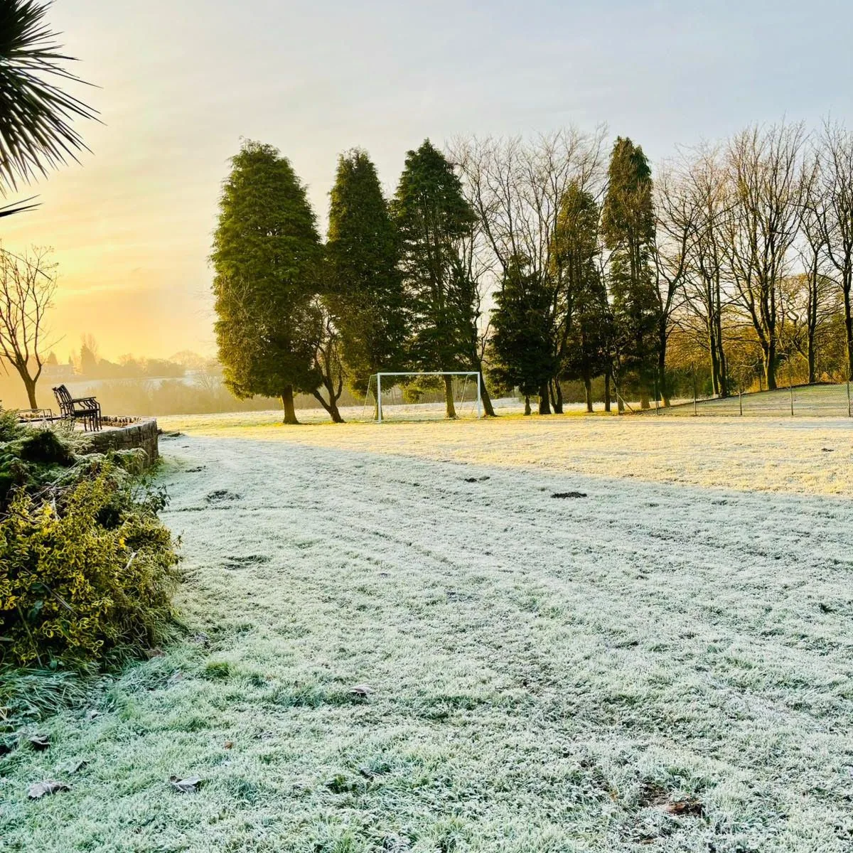 Sunlight over the grass and trees in Little Ash Farm’s grounds
